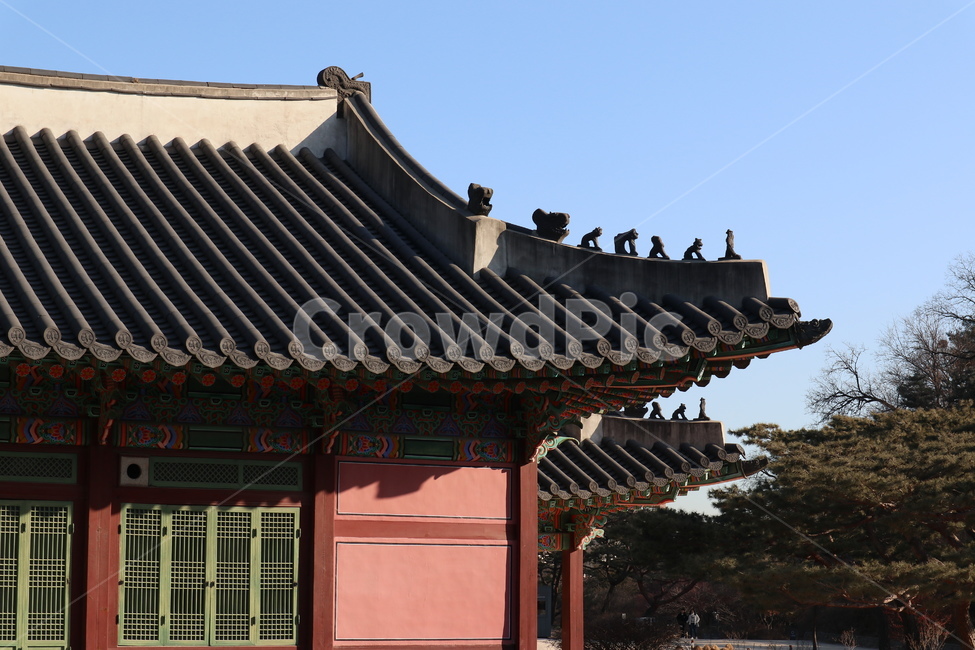 창덕궁,문화재,전통건축,고궁,기와,한국,조선,보물,문화유산,궁,왕,궁궐,한국전통,한국문화,korean traditional,korean culture,랜드마크,landmark,tourist attraction,한국랜드마크,한국관광지,한국명소,korea landmark,korea tourist attraction,건축물,건물외관,exterior,building,structure,architecture,construction