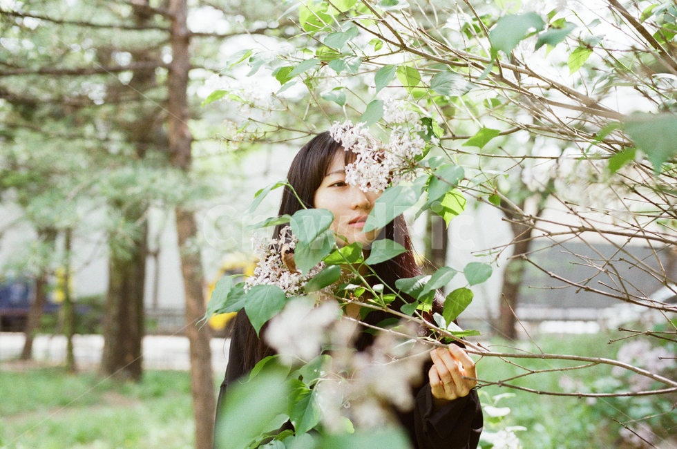 소녀,여자,자연,인물,감성,감성사진,분위기,혼자,girl,lady,nature,사람,women,korea,flower,파스텔,pastel,봄,구름,빛,햇살,인간,human,person,여성,female,sensible,feeling,휴식,힐링,rest,relaxation,healing,벚꽃,cherryblossoms,분홍,봄,계절,spring,season,사람,인물,인간,human,person,여성,여자,woman,female,lady,tree,나무,plant,식물