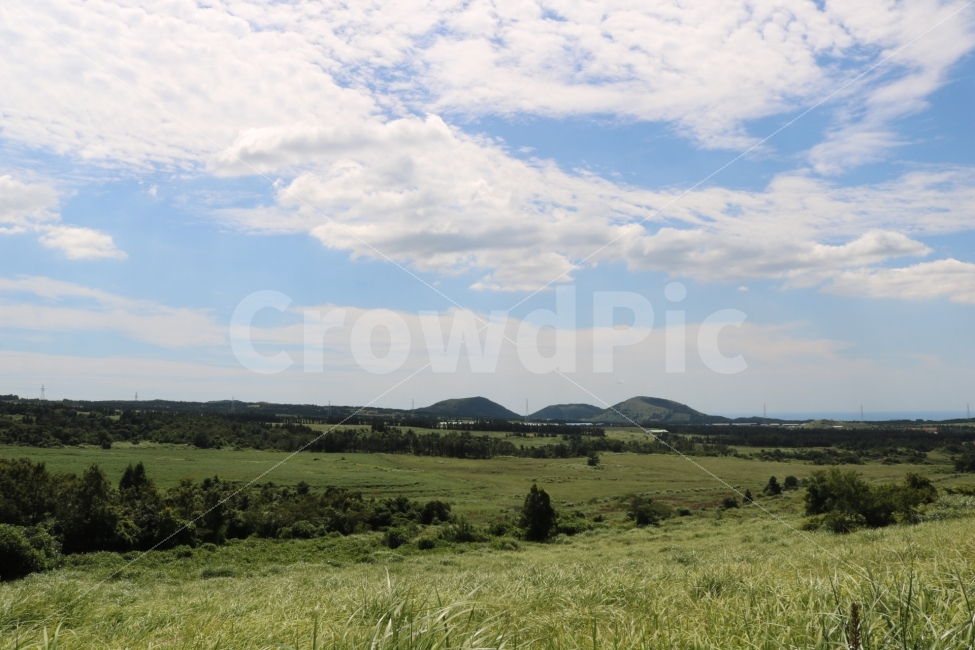 자연,풍경,산,나무,하늘,오름,제주도,자연,풍경,nature,landscape,한국자연풍경,한국자연경관,korea nature landscape,제주도,jeju,jeju island,outdoors,옥외,grassland,목초지,field,들