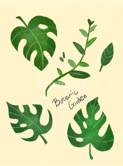 보타닉일러스트,일러스트,식물일러스트,배경화면,보타닉아트,식물,plant,leaft,잎