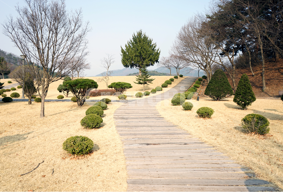 길,나무,여유,산책,잔디,road,tree,walk,자연,풍경,nature,landscape,flagstone,판석,outdoors,옥외