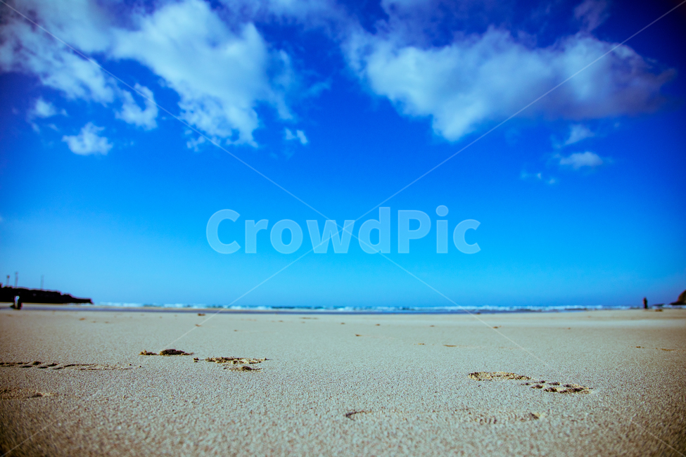 제주도,해변,바다,휴양,자유,해변,바다,beach,sea
