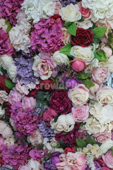 장미,pattern,무늬,plant,식물,floraldesign,플로랄디자인,꽃,rose