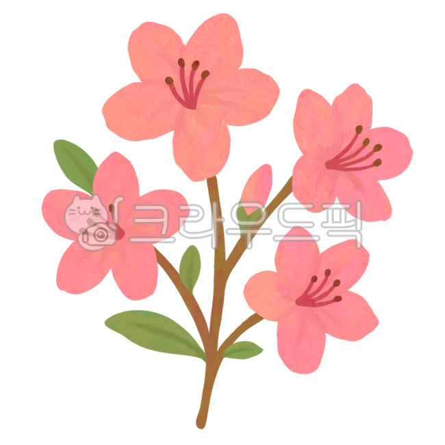 진달래,진달래꽃,진달래나무,진달래일러스트,진달래요소,분홍색꽃,분홍꽃,진달래일러,꽃가지,봄,봄꽃,꽃축제,진달래축제