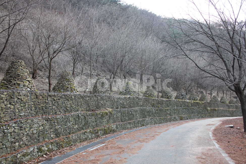 길,겨울,자연,나무,풍경,배경,nature,asphalt,아스팔트,tarmac,타맥,road,도로,겨울,계절,winter,season