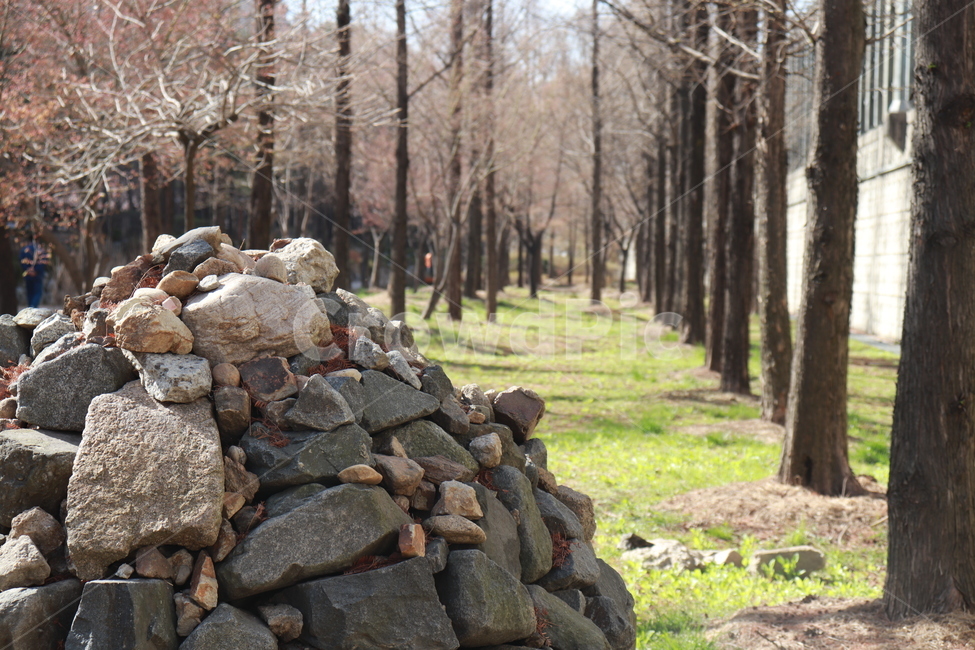 자연,나무,산책로,돌,풍경,자연,풍경,nature,landscape,rubble,파편,wall,벽,ground,바닥