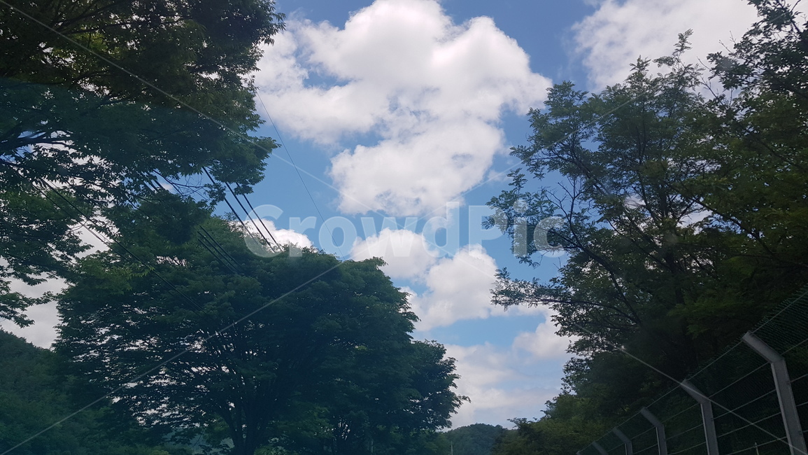 하늘,구름,sky,cloud,blue,맑음,clear,풍경,scene,scenery