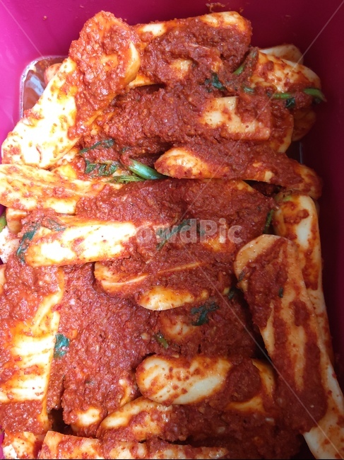음식,무,총각김치,김장,반찬,음식,식재료,요리,food,cook,meal,dishes,food reserves,한식,한국음식,한국요리,korean food,korean dishes,korean meal,korean cook