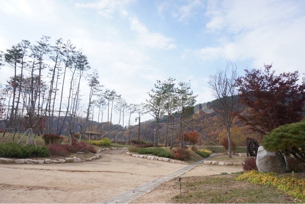 tree,나무,plant,하늘,구름,자연,풍경,nature,landscape