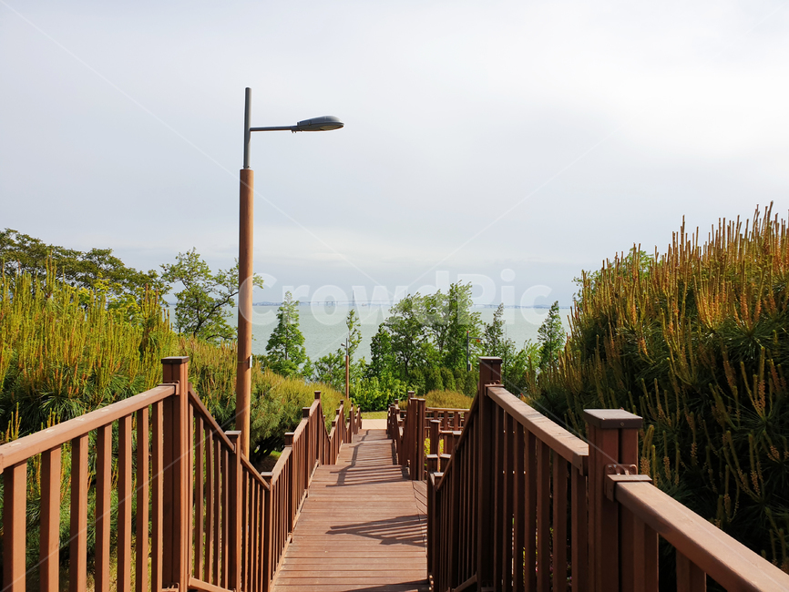 railing,boardwalk,산책로,건물,building,다리,bridge,handrail,banister,난간,나무,tree
