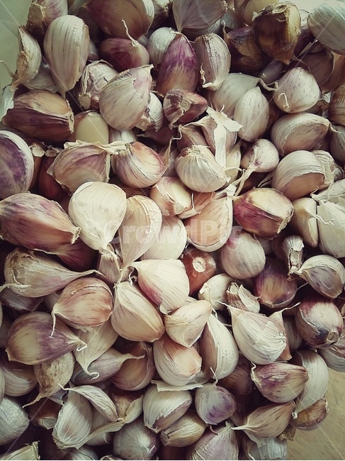 마늘,농작물,자연,농산물,농사,음식,nature,열매,자연산,food,garlic,건강,식물,시골,건강식품,농업,면역력