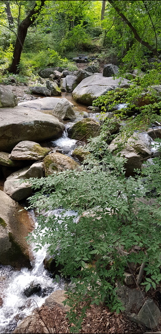 물,산속,고즈넉,계곡,숲속,여름,자연,풍경,nature,landscape,water,outdoors,옥외