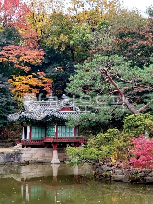 가을, 창덕궁, 후원, 단풍, 고궁, 사진,이미지,일러스트,캘리그라피 - 은플레르작가