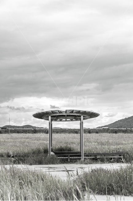 우움도,갈대,풍경,습지,감성,하늘,구름,자연,풍경,nature,landscape,한국자연풍경,한국자연경관,korea nature landscape,흑백,모노톤,monochrome,black and white,building,건물,shelter,피난처,rural,농촌,outdoors,옥외,bus stop,버스 정류장
