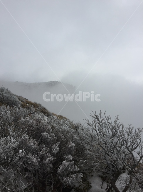 눈,겨울,설산,설경,한라산,눈내린산,눈오는산,산,풍경,산풍경,눈풍경,겨울,계절,winter,season