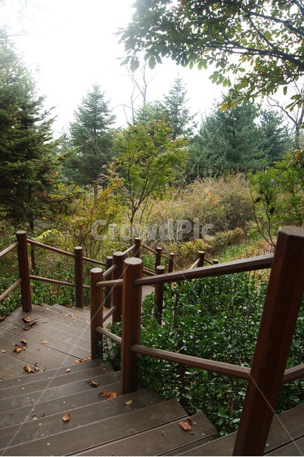 자연,풍경,landscape,nature,휴식,rest,남산,계단,숲길,가을,계절,산책로