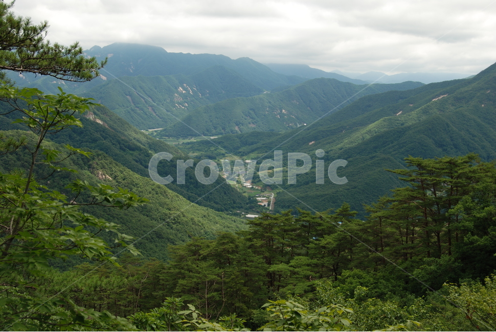 여름,하늘,국유림,한국,휴양지,등산로,자연,풍경,nature,landscape,mountain,산,outdoors,옥외,slope,경사