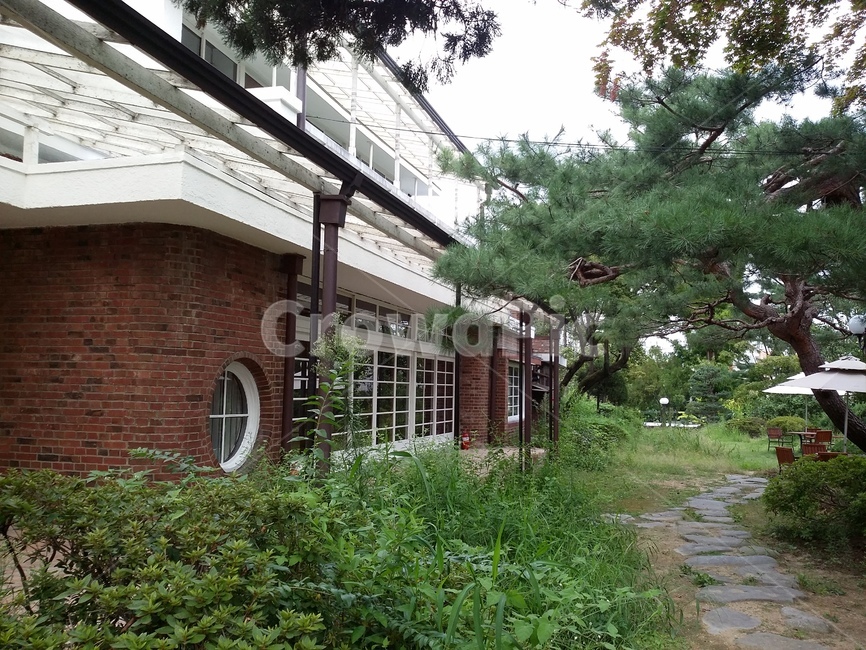 집,정원,창문,소나무,정원길,길,garden