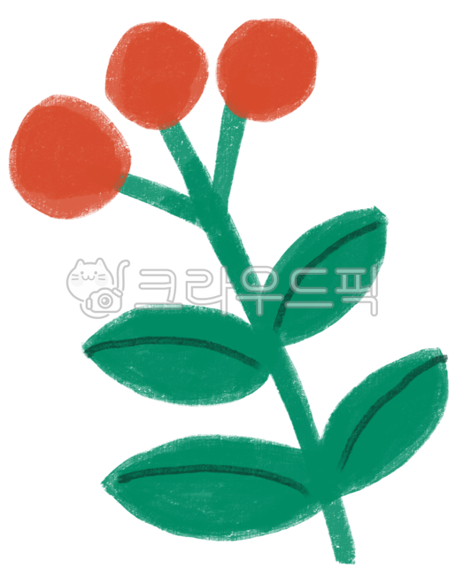 크리스마스,열매,열매나무,빨간열매,장식,겨울,크리스마스장식,크리스마스열매,leaf,잎,flower,꽃,petal,꽃잎