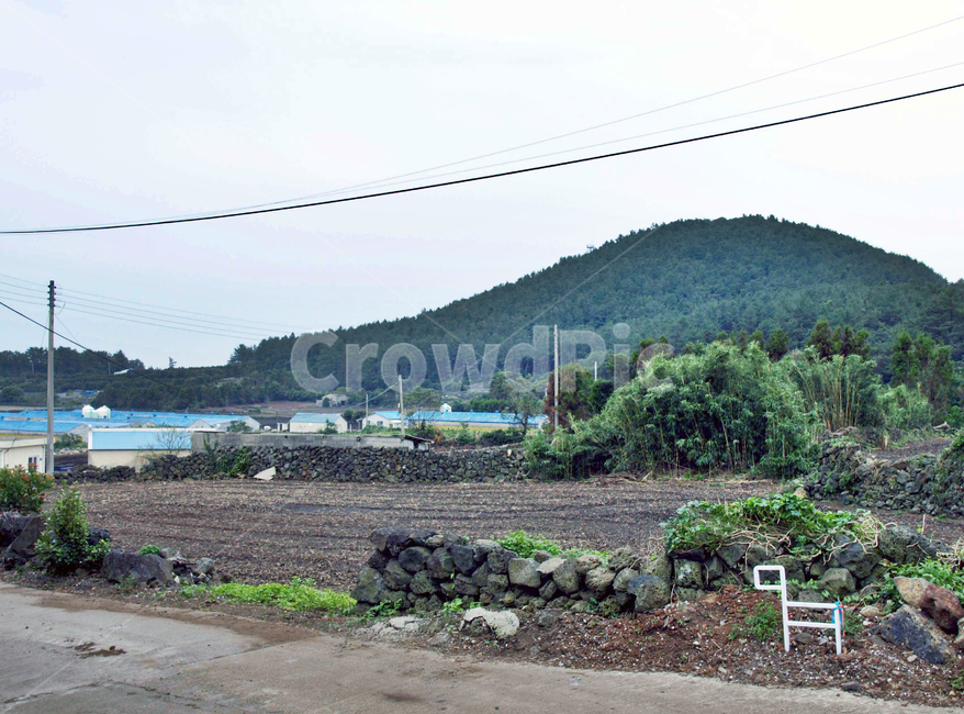 간세,대수산봉,마을,밭,제주,서귀포시,올레2코스,내수면,농작물,시골,마을,풍경,landscape,country,rural,town