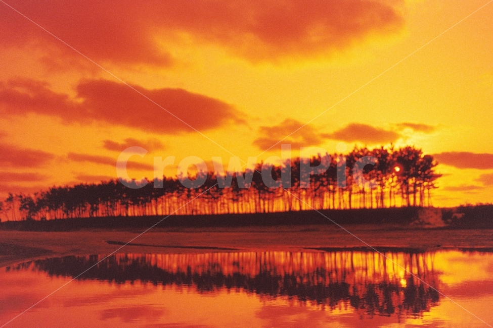 필름,안면도,운여해변,레드스케일,석양,풍경,FM2,LOMORedscaleXR50200,자연,풍경,nature,landscape,감성,sensible,feeling,outdoors,옥외,sky,하늘,dawn,새벽,red sky,붉은 하늘,dusk,황혼,sunset,일몰