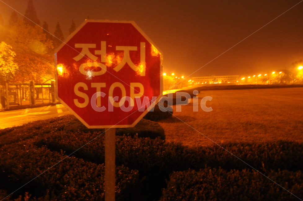 표지판,정지,stop,야경,가로등