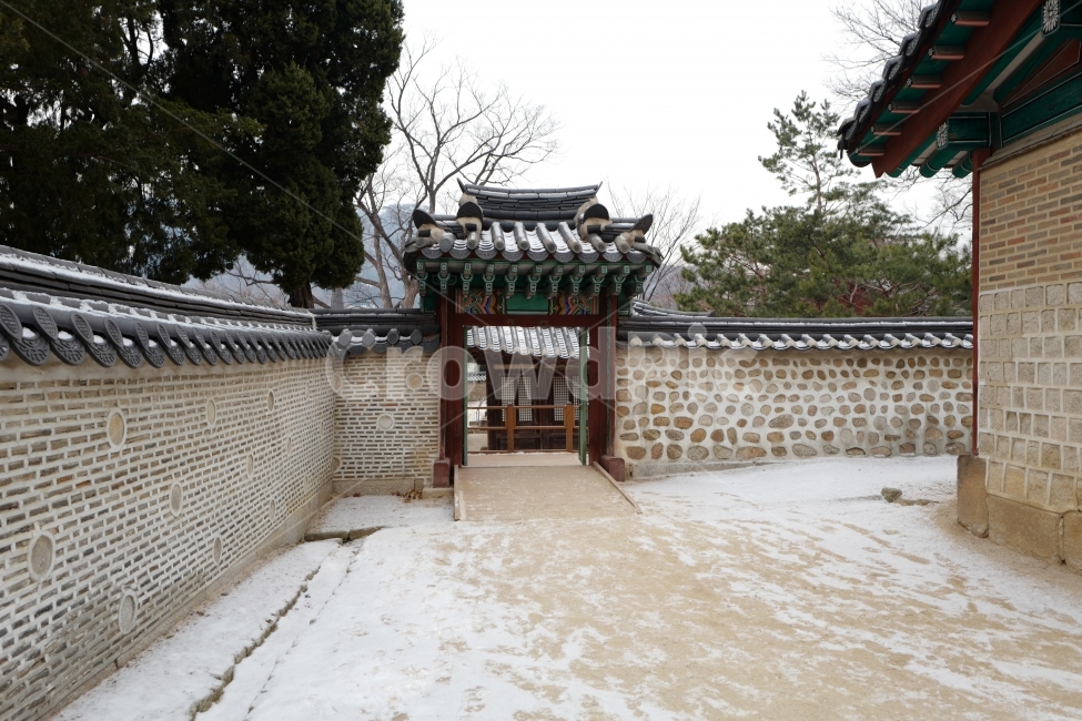 문고리,문,손잡이,한옥,대문,전통,한국,한국전통,출입문,건축,고건축,전통건축,한국문화,koreantraditional,korean,culture,칠궁,눈,마당,전통가옥,겨울,계절,winter,season,한국전통,한국문화,korean traditional,korean culture,랜드마크,landmark,tourist attraction,한국랜드마크,한국관광지,한국명소,korea landmark,korea tourist attraction