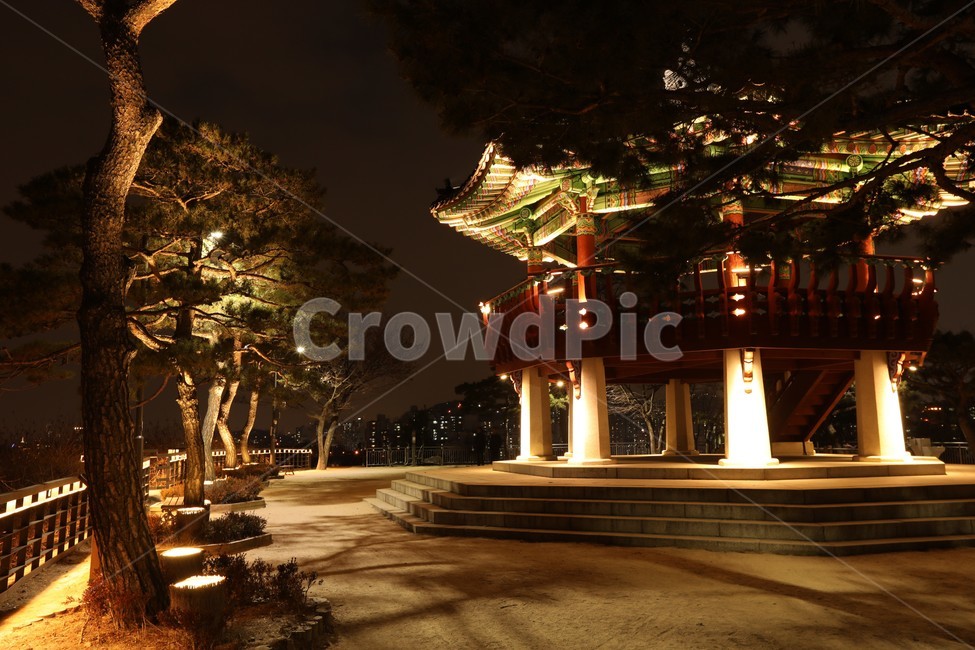 응봉산,쉼터리,소나무,팔각정,하늘,야경,밤,풍경,nightscape,night,landscape,한국전통,한국문화,korean traditional,korean culture,건축물,건물외관,exterior,building,structure,architecture,construction,건물