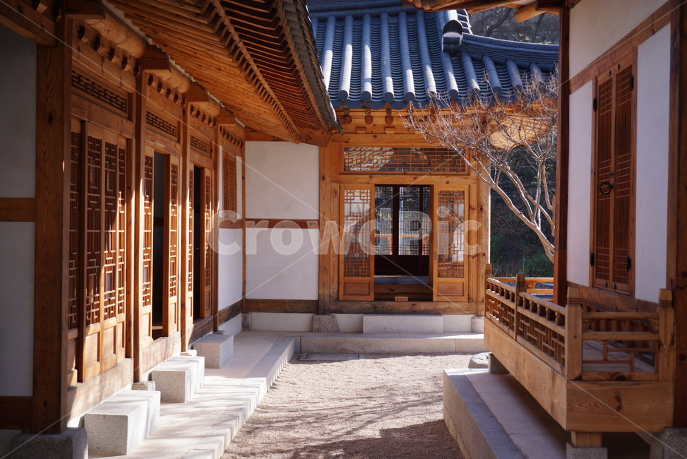 한옥,마당,목조,주택,건축물,나무,햇살,korea,한국전통,한국문화,korean traditional,korean culture,건축물,건물외관,exterior,building,structure,architecture,construction