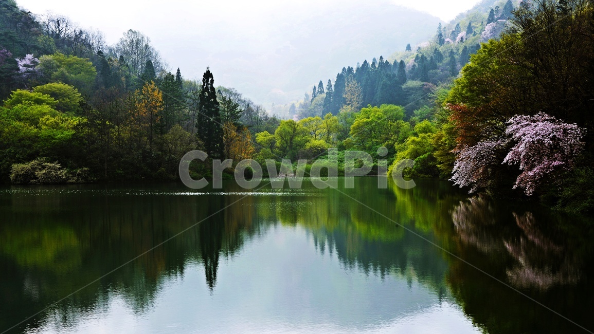 전남,화순,세량지,물안개,경치,경관,풍경,nature,자연,outdoors,옥외,weather,날씨,water,물,저수지,세량지봄,벚꽃,반영,자연,풍경,nature,landscape