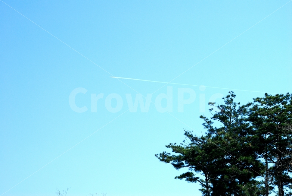 newsletter,catalog,winter,video,scenery,cyan,textbooks,content,Pine tree,output,spring,leaves,web,plants,design,publication,advertisement,park,sky,pollutionfree,magazine advertisement,seasons,brochure,study materials,green,photo materials,mobile,designer,