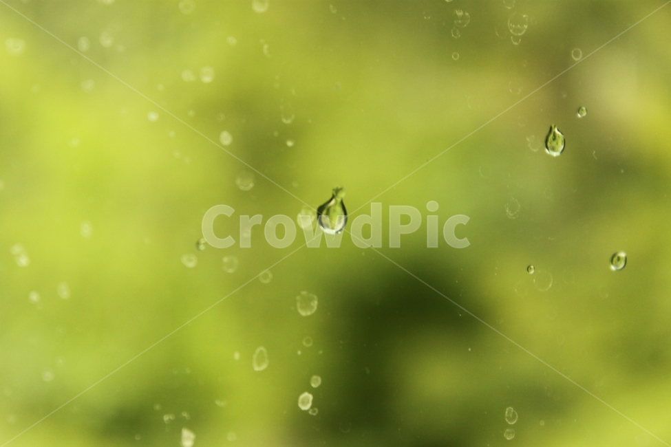 비,물,초록,잎,감성,창문,이슬,흐림,감성,sensible,feeling,비,비오는날,rain,rainy