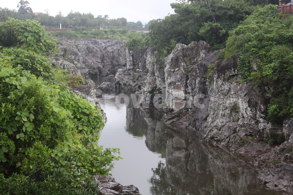 제주도,쇠소깍,쇄소깍,풍경,시냇물,도랑,내천