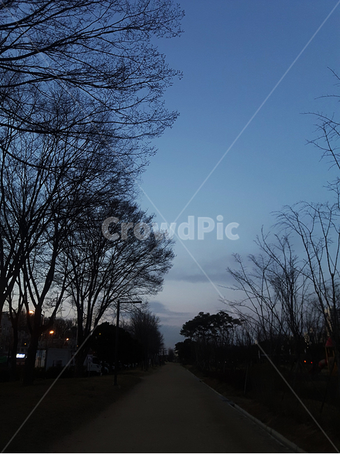 통로,path,새벽,퇴근,새벽공기,찬공기,가지나무,나뭇가지,겨울하늘,새벽겨울,겨울새벽,패딩,추운날씨,흙길,찬새벽,찬바람,흐림,저녁,어둡기전