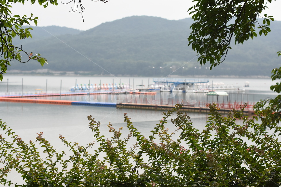 호수,선착장,오리배,배,풍경,dockyard