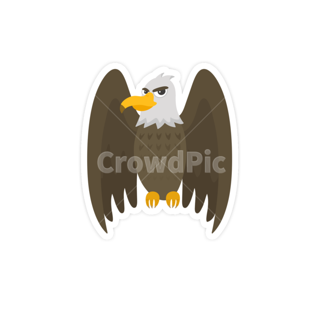 독수리,조류,동물,하늘,날개,bird,eagle,animal,대머리독수리,baldeagle,그래픽,일러스트레이션,graphic,illustration