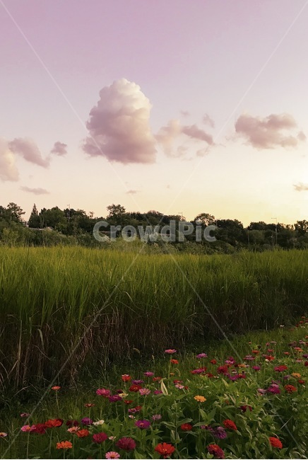 색감,서울,건물,다리,한강,노을,sunset,nightview,sky,하늘,자연,풍경,nature,landscape,field,들