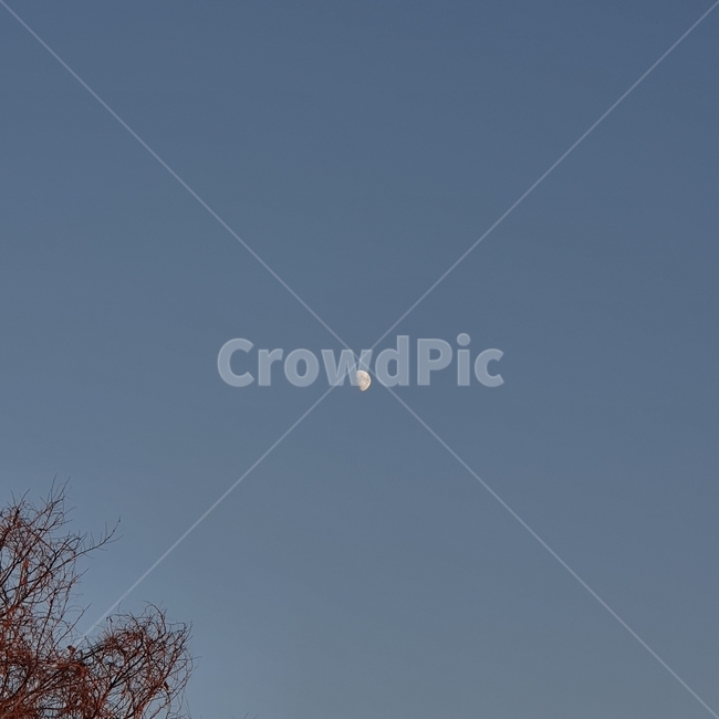 달,감성적인,하늘,구름없는,가을하늘,자연,남색하늘,곤색,반달,가을,감성