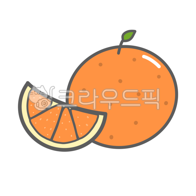 음식,과일,귤,오렌지,금귤,천혜향,한라봉,fruit,orange,food,간식