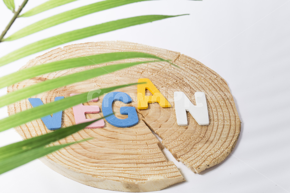 비건,vegan,글자,텍스트,영문,채식주의자,통나무