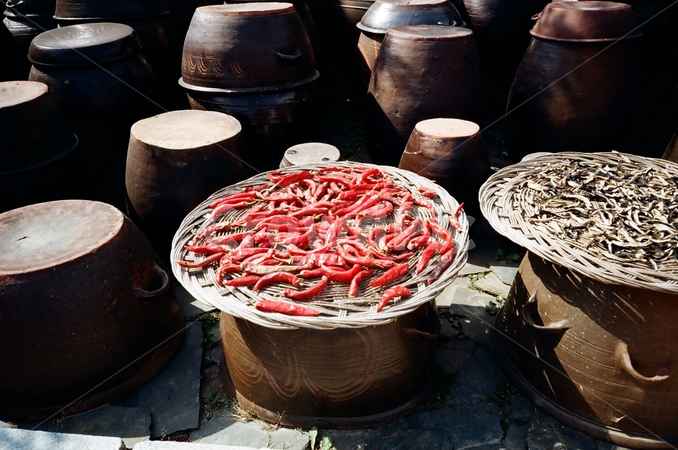 가을,민속촌,장독대,고추,전통,한국,korea,tradition,traditional,folkvillage,koreantradition