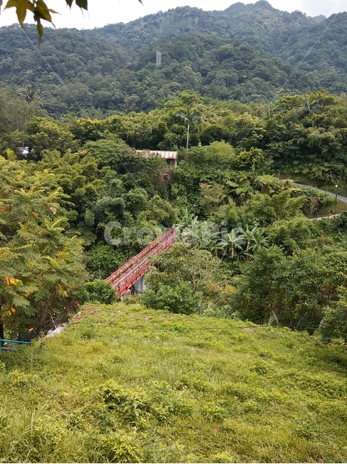 자연,경치,풍경,숲,녹색,힐링,자연,풍경,nature,landscape,outdoors,옥외,hill,언덕,slope,경사,scenery