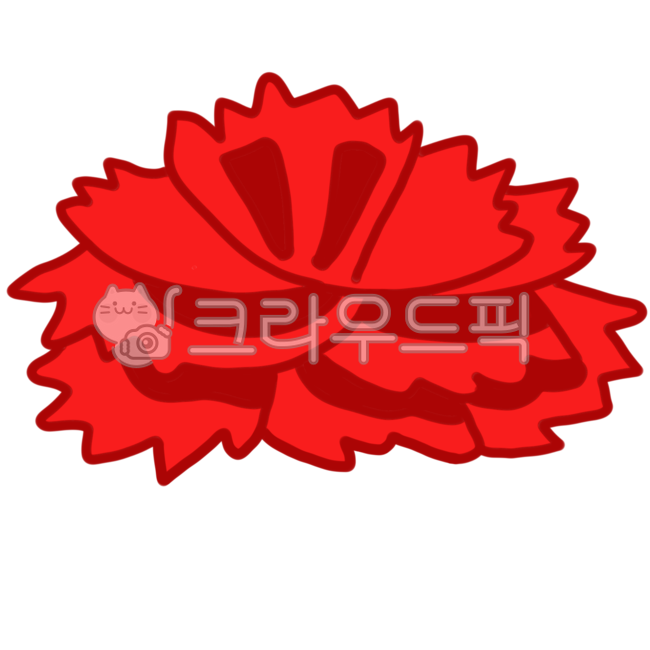 Teachers day,carnation design,carnation,Mothers Day,Carnation illustration,flower