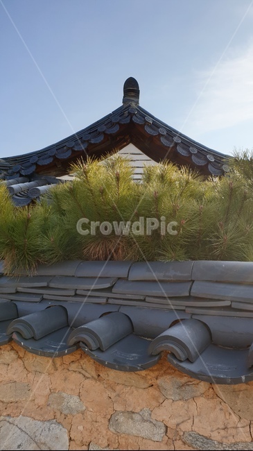 기와,옛날집,기와집,한옥,architecture,건축물,building,건물,한국전통,한국문화,korean traditional,korean culture,건축물,건물외관,exterior,building,structure,architecture,construction