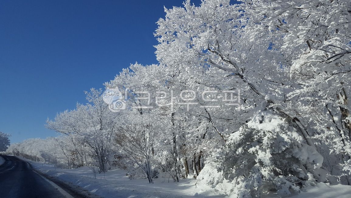 winter mountain,snow,hallasan road,winter road