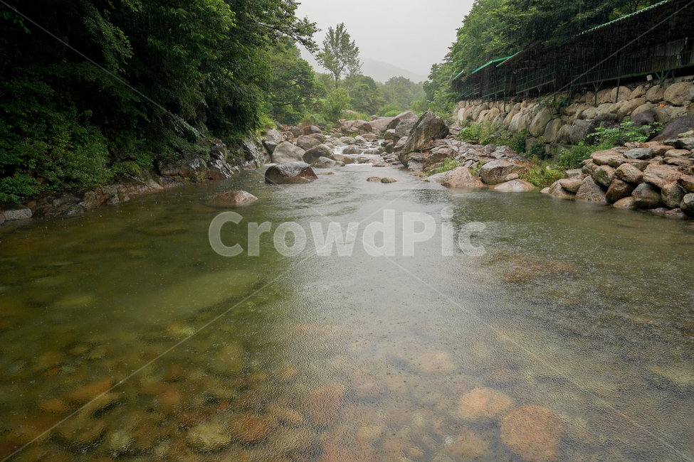 비,valley,계곡,맑은물,시원함,산속,여름,계절,summer,season,자연,풍경,nature,landscape,water,물,outdoors,옥외,stream,흐름,creek,작은 만