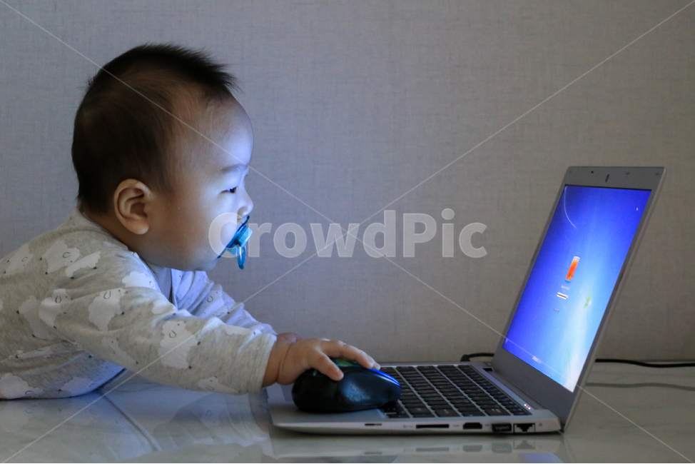 아기,애기,컴퓨터,노트북,집중,업무,야근,워라밸,타이핑,랩탑,유아,영아,귀여운,자판,타자,남자아이,남자아기,일,아들,작업,모니터,키보드,작은,어린,아가,인터넷,얼리어답터,사무직,아동,아동노동,사람,인물,인간,human,person,영유아,아기,애기,아이,infants,baby,정보통신기술,전자기기,전자제품,it,information,technology,electronic equipment