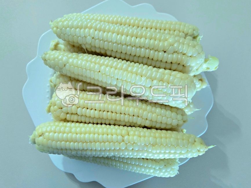 옥수수,찰옥수수,식재료,농산물,corn,찐옥수수