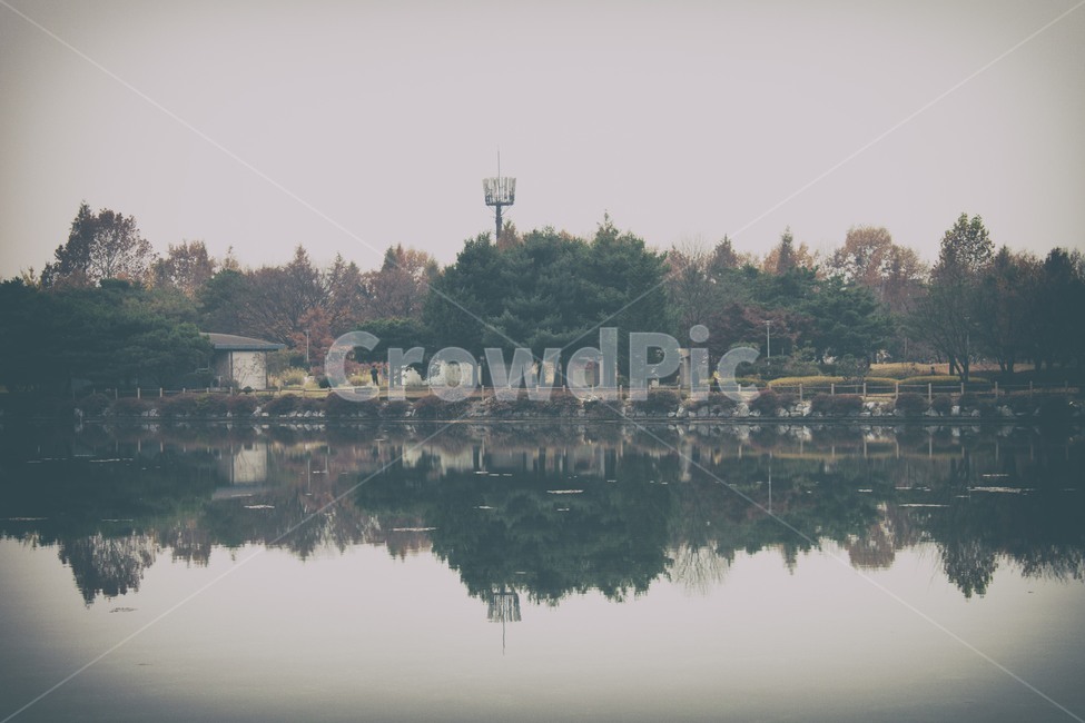 nature,자연,water,물,outdoors,옥외,park,공원,나무,tree,lake,호수
