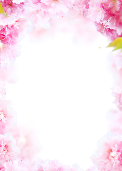 꽃,봄,프레임,백그라운드,배경이미지,식물,내츄럴,꽃송이,꽃잎,카네이션,분홍,핑크,카피스페이스,기념일,축하,anniversary,congratulation,celebrate,celebration
